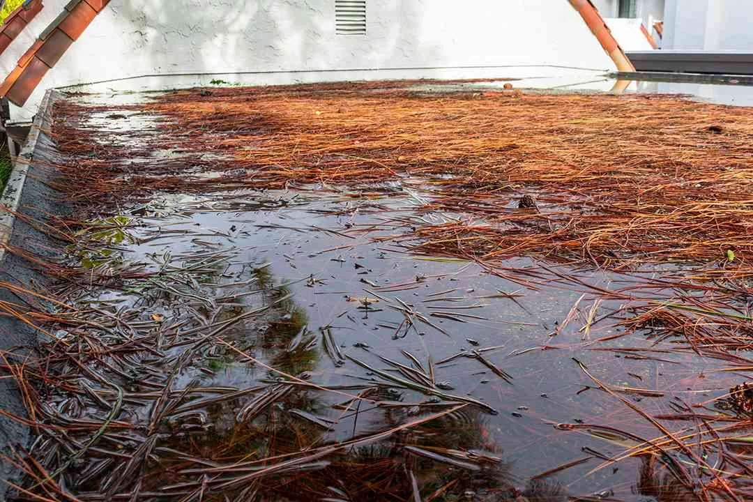 Ponding Water Roof Repair in Cedar Rapids, IA